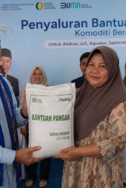 Menko Pangan dan Dirut BULOG Pantau Penyaluran 30 Kg Beras untuk Warga Ambon